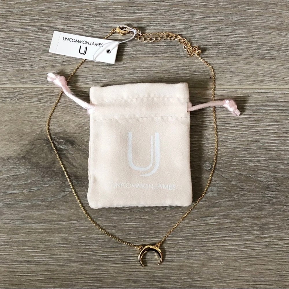 Uncommon James Crescent Necklace
